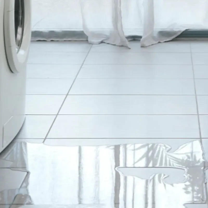 Appliance Leak Cleanup in Markham, TX