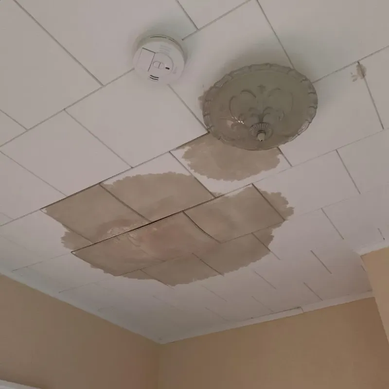 Ceiling Water Damage Repair in Markham, TX