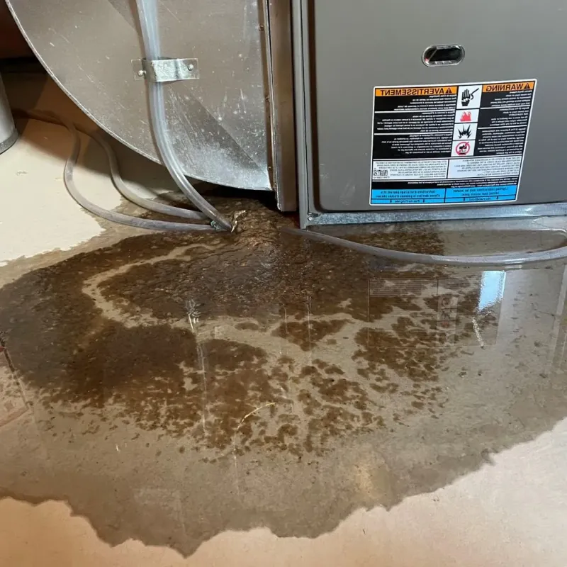 Pipe Burst and Leak Restoration in Markham, TX