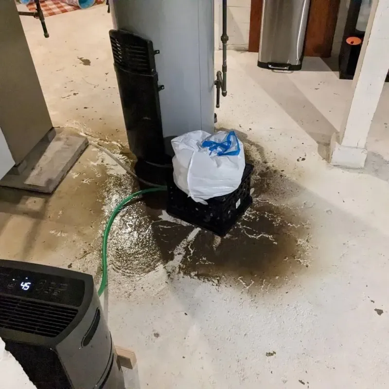 Sewage Backup Cleanup Service in Markham, TX